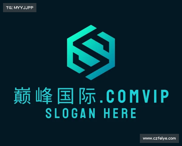 介绍巅峰国际.comvip